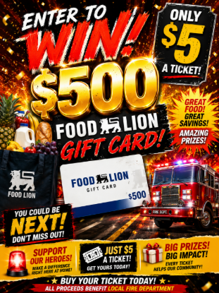 Picture of $500 Food Lion Gift Card